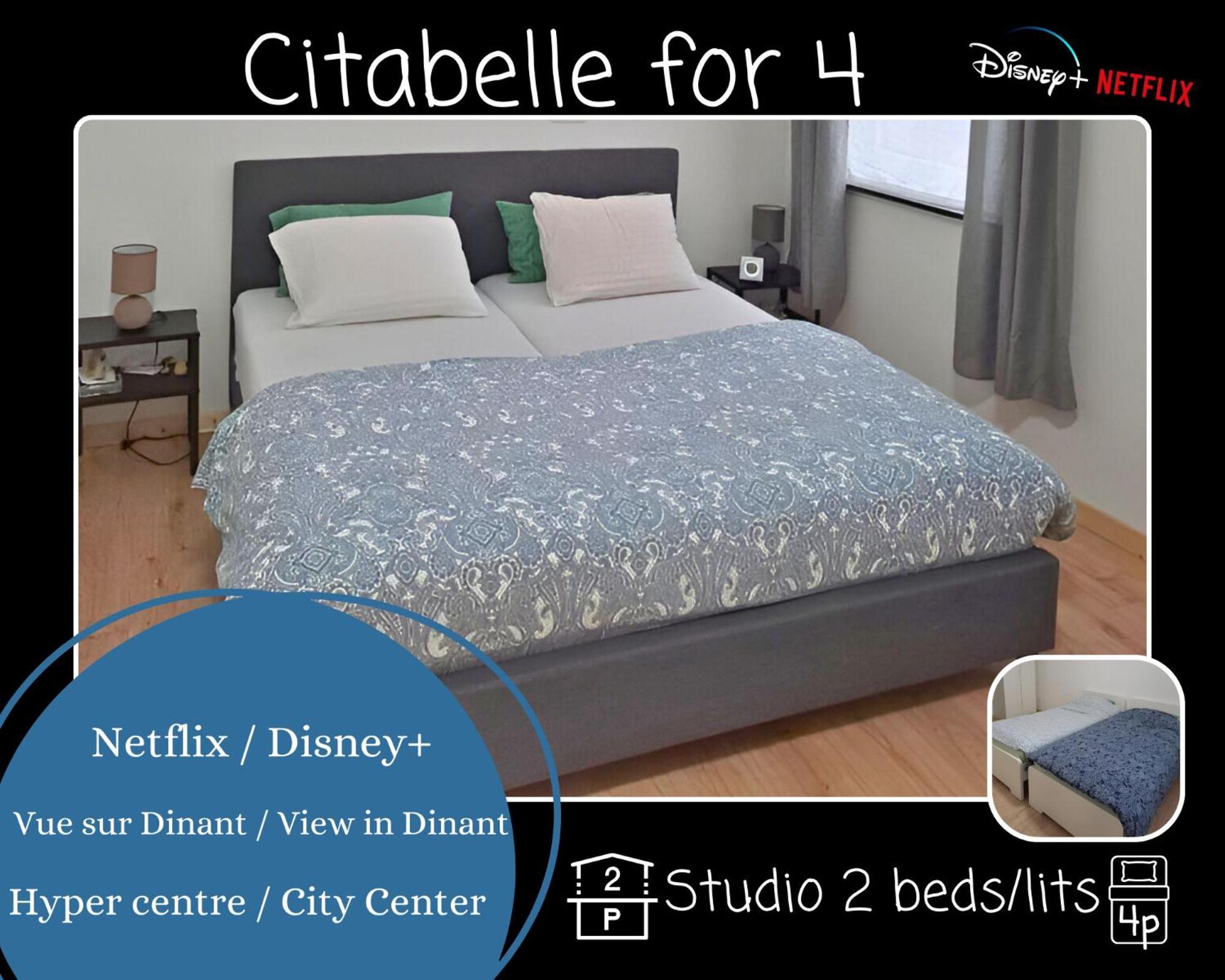 O Reflets - Citabelle For 4 - Studio 2 Rooms View "Citadelle" Dinant Eksteriør billede